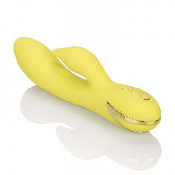 California Dreaming Venice Vixen