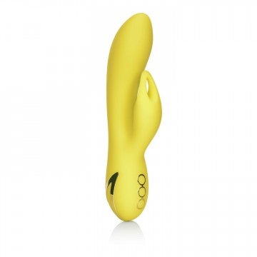 California Dreaming Venice Vixen