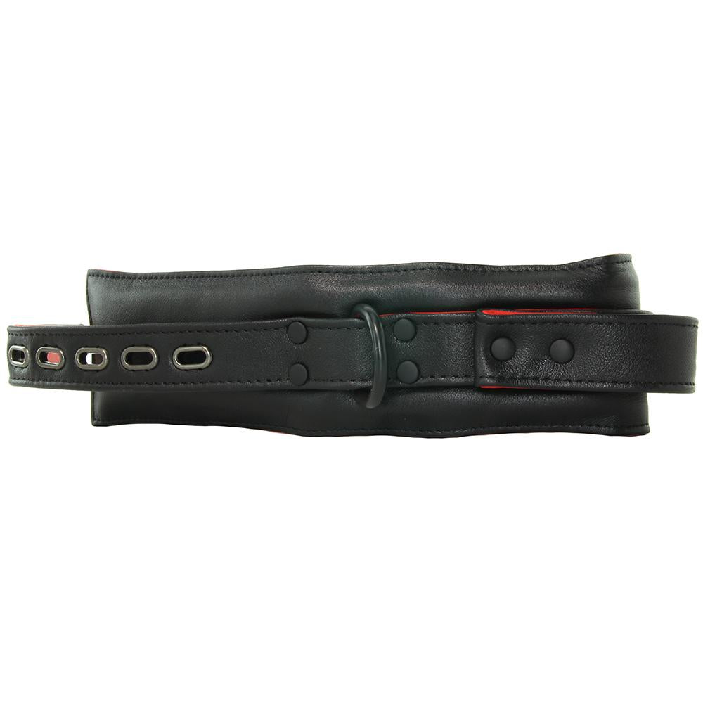 Kink Leather Handler's Collar