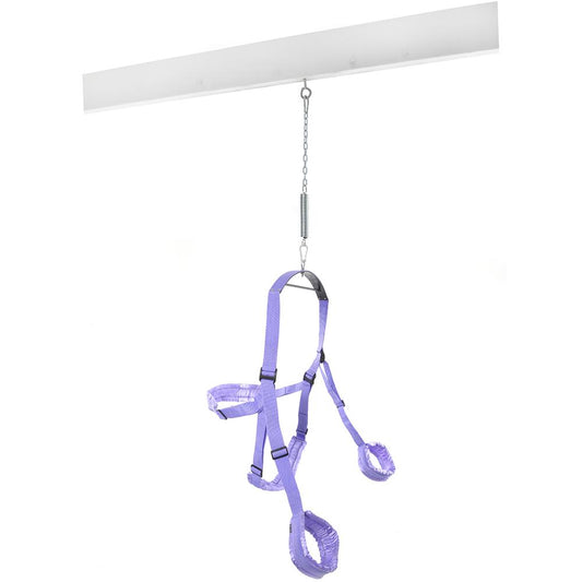 Fetish Fantasy Swing in Purple